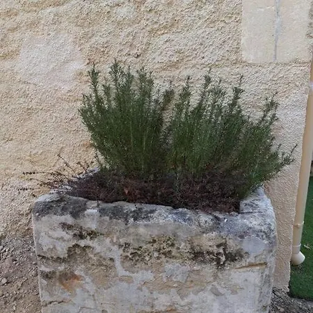 Maison Renovee Dans Une Ancienne Propriete. *